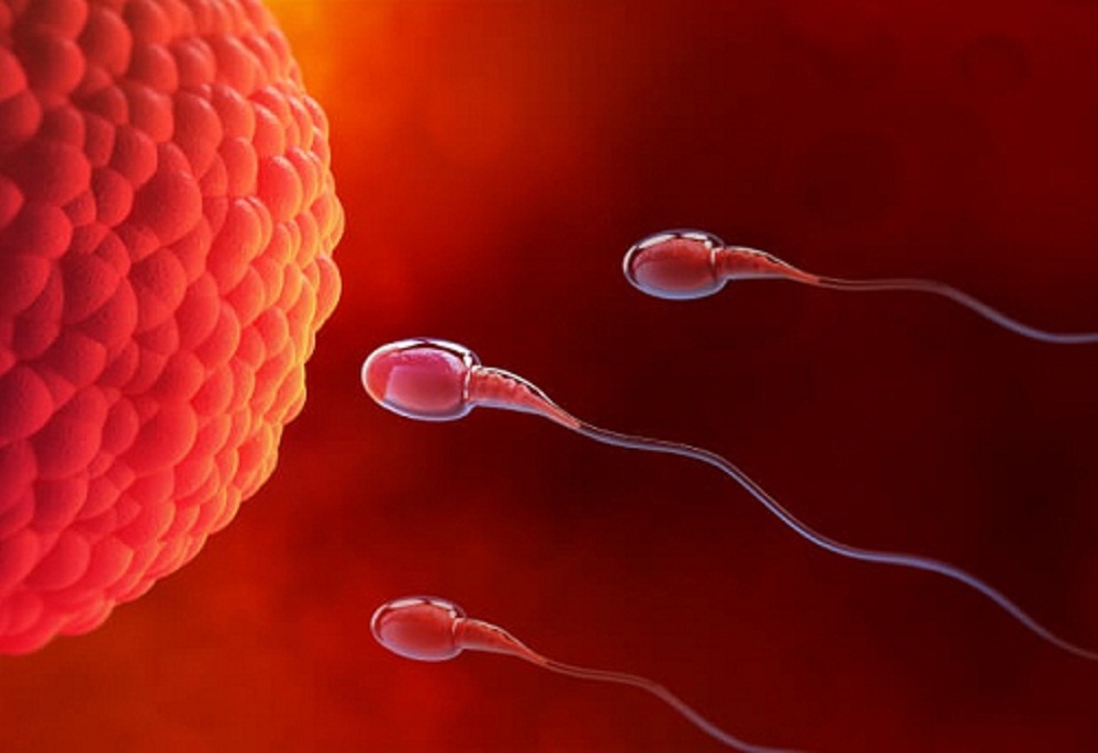 MALE & FEMALE INFERTILITY WORKUP